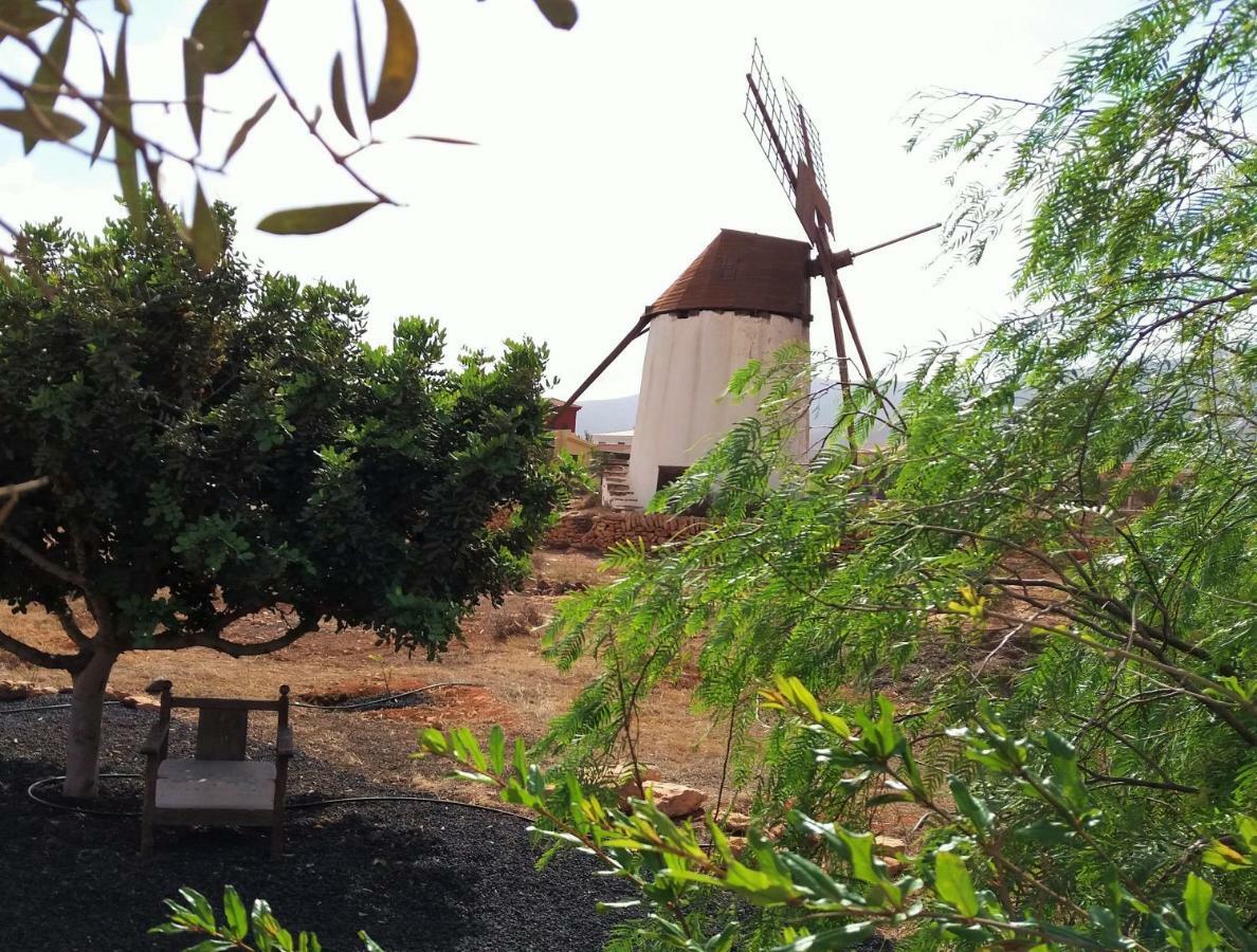 Casita Rural Molino De La Corte Country house Antigua (Fuerteventura)