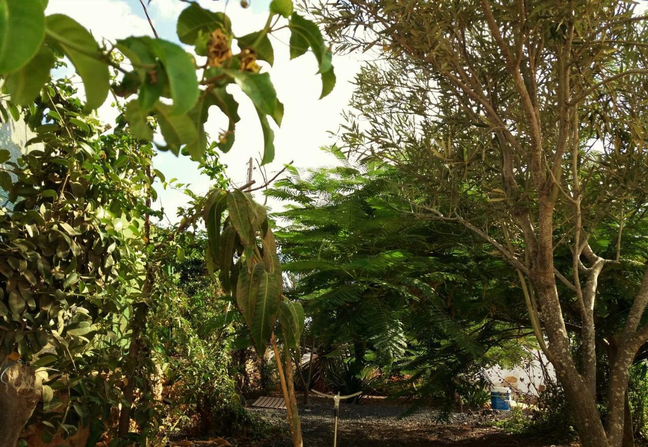 Casita Rural Molino De La Corte * Antigua (Fuerteventura)